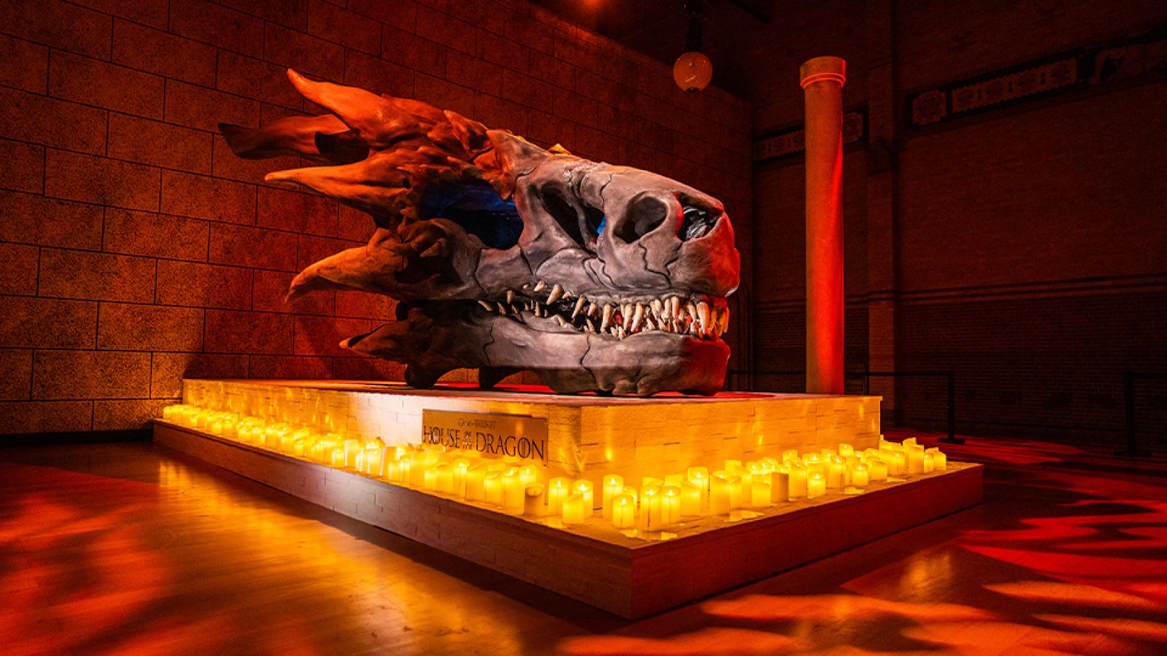 hbo house of dragons